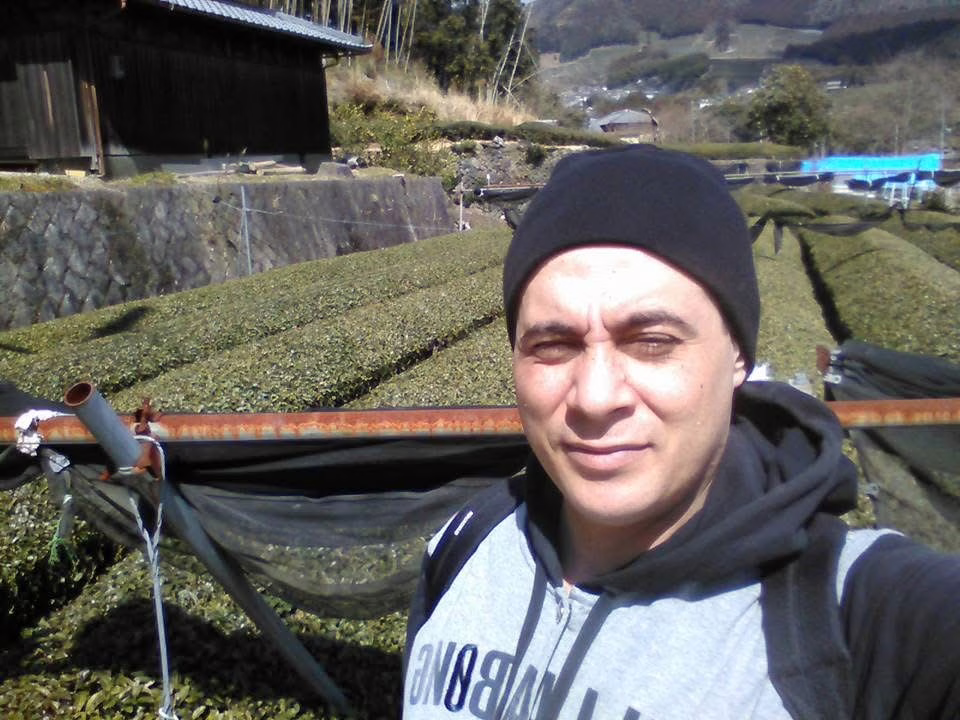 Giando on a tea plantation