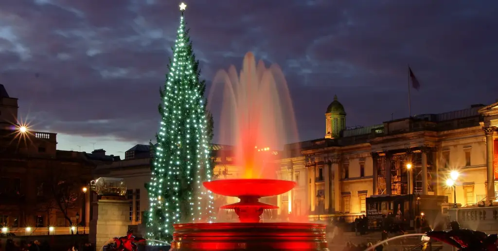 Trafalgar Square Christmas Tree and fountain lit up