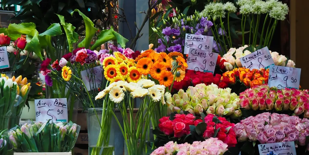 Colourful bouquets of flowers