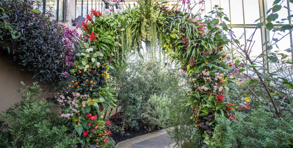 Archway of orchids