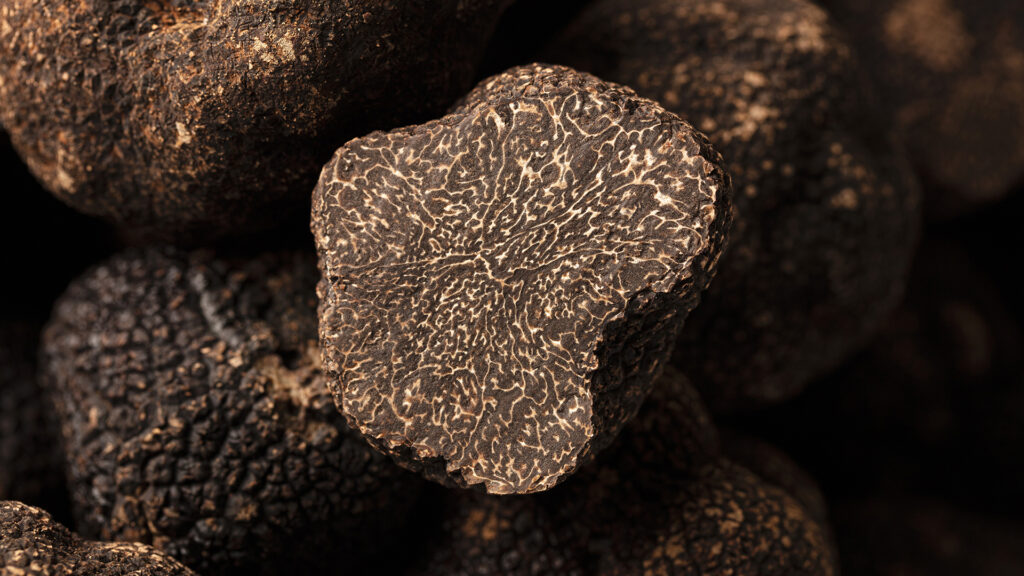 Close up of black truffle